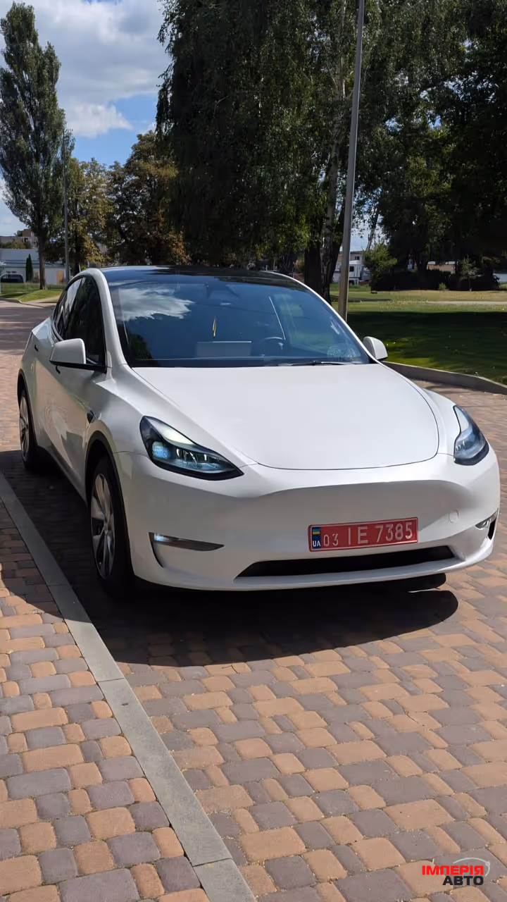Tesla Model Y - фото 2