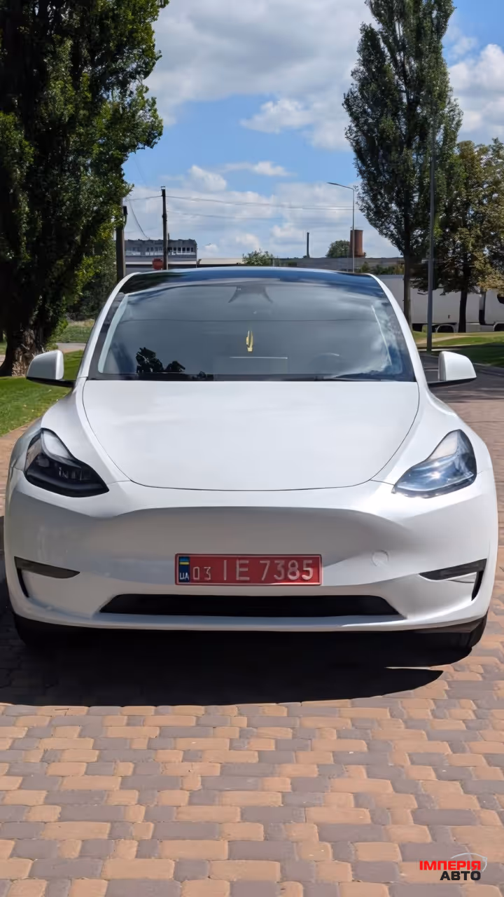 Tesla Model Y - фото 1