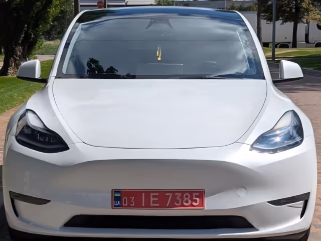 Tesla Model Y - зображення 1
