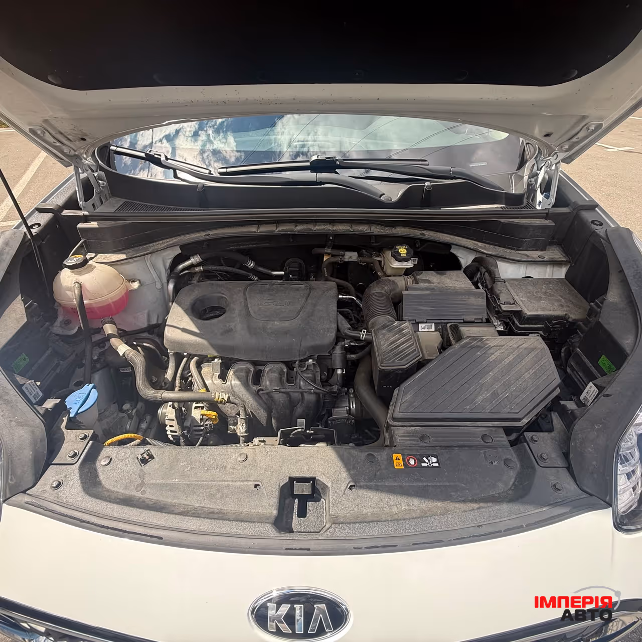 Kia Sportage - фото 12