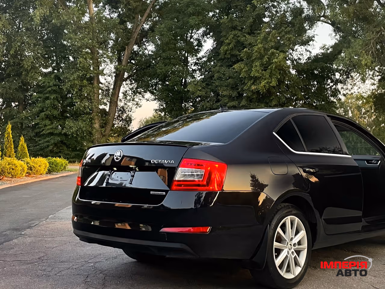 Skoda Octavia - фото 8
