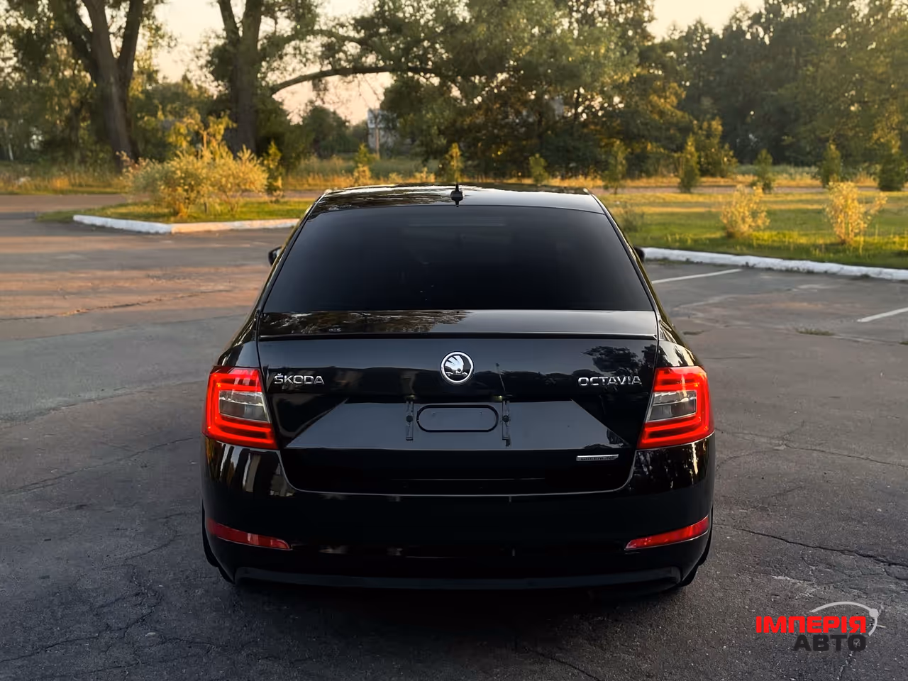 Skoda Octavia - фото 7