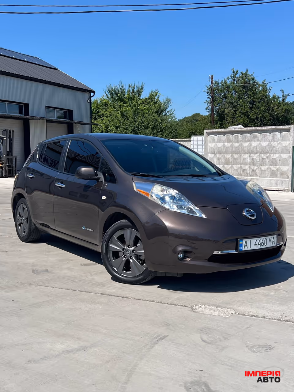 Nissan Leaf - фото 1