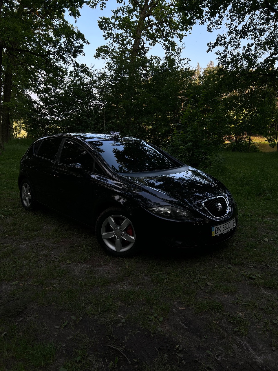 SEAT Leon - фото 4