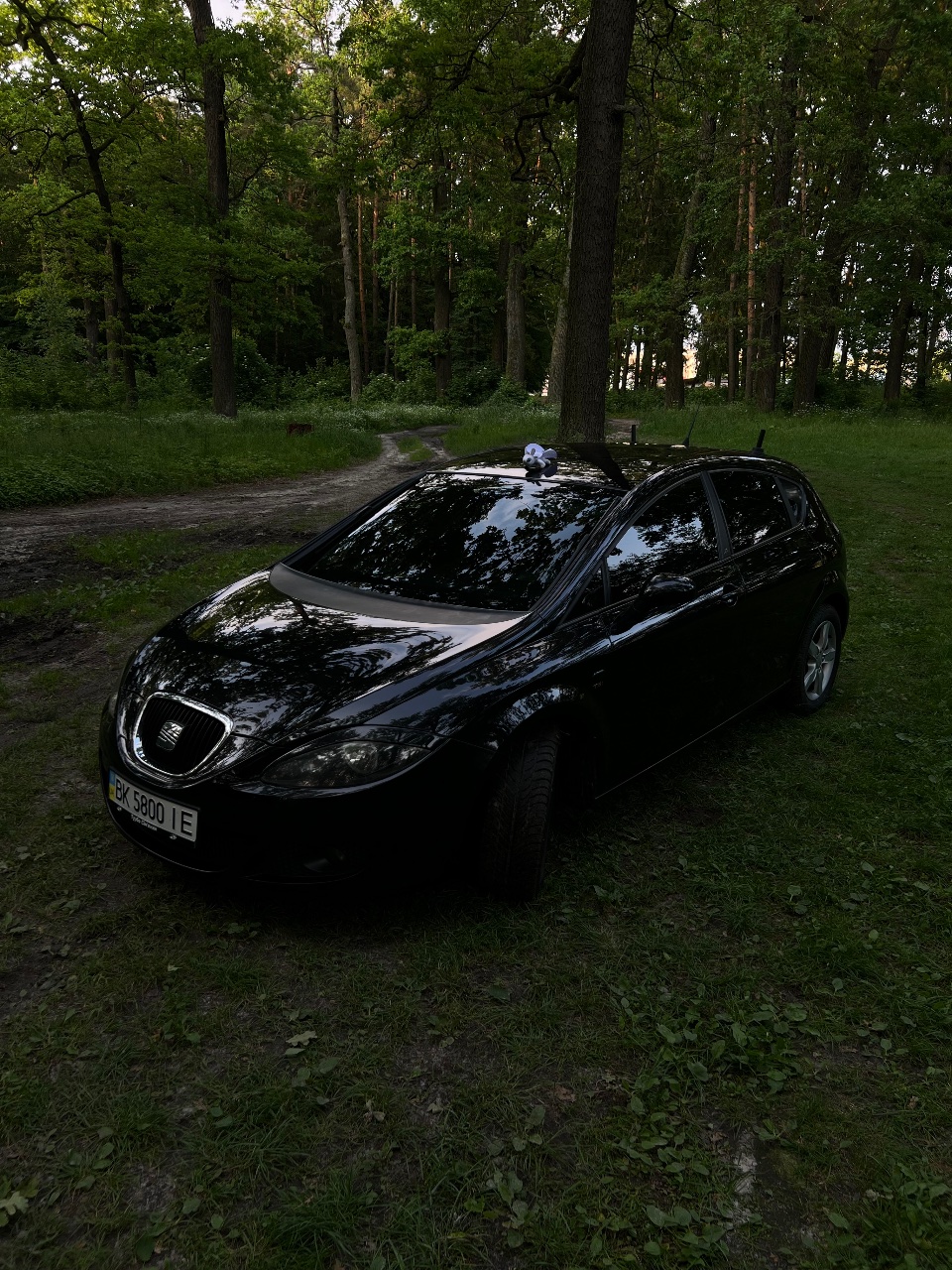 SEAT Leon - фото 5