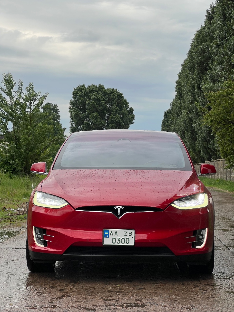 Tesla Model X - фото 3