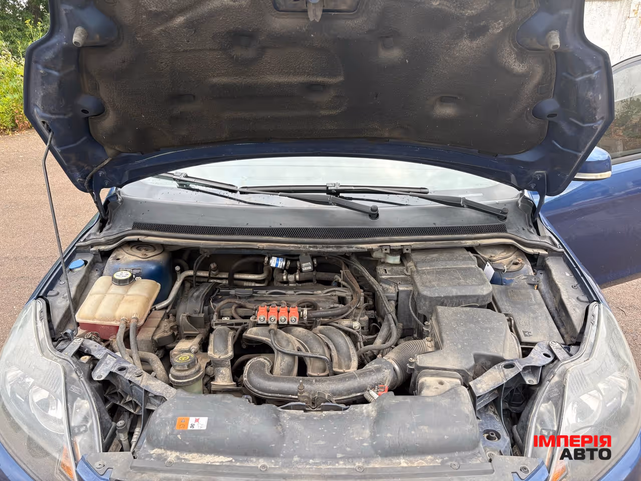 Ford Focus - фото 11