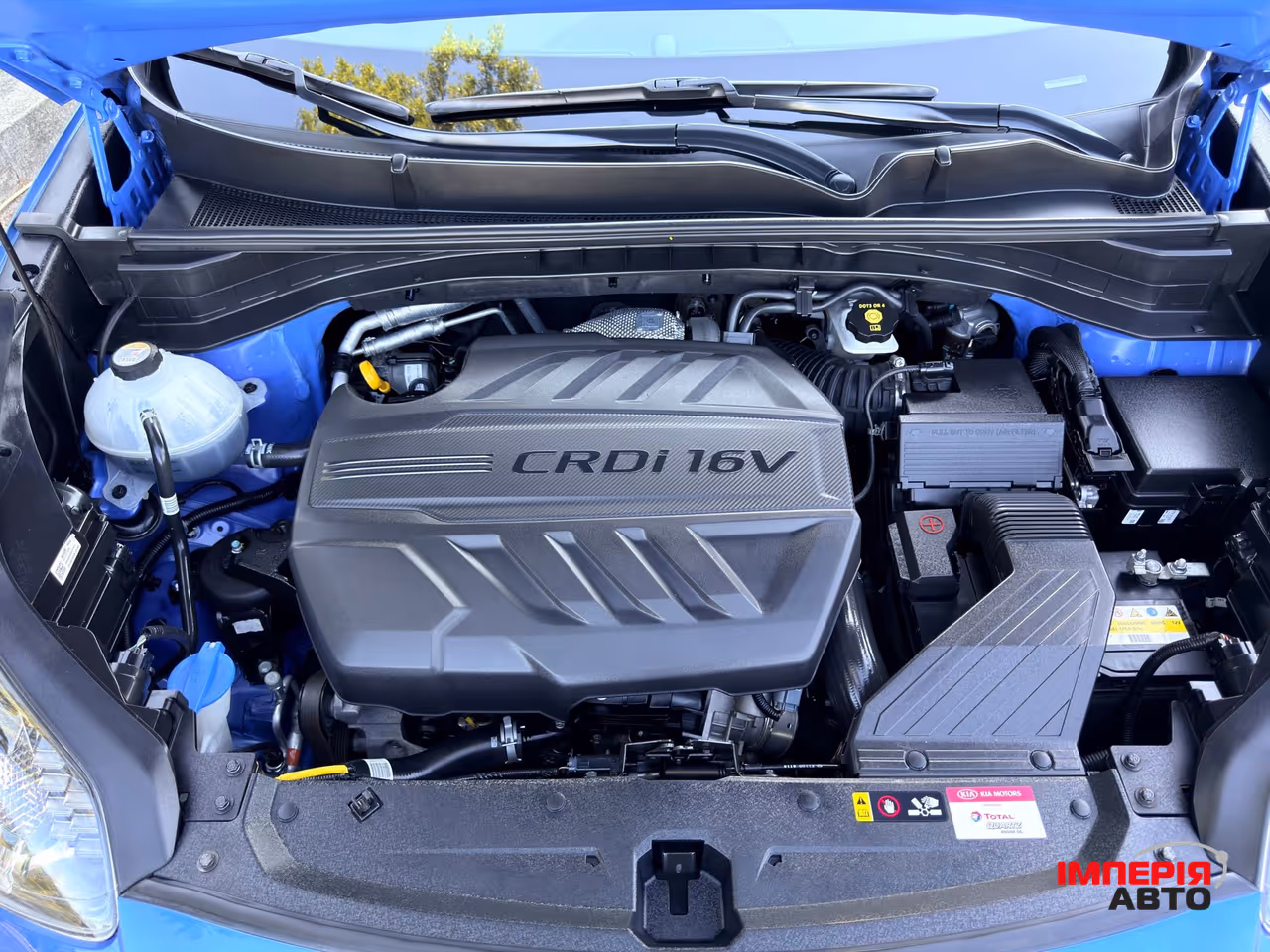 Kia Sportage - фото 34