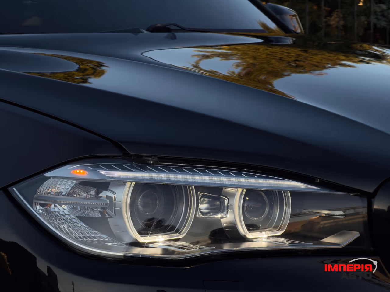 BMW X5 - фото 4