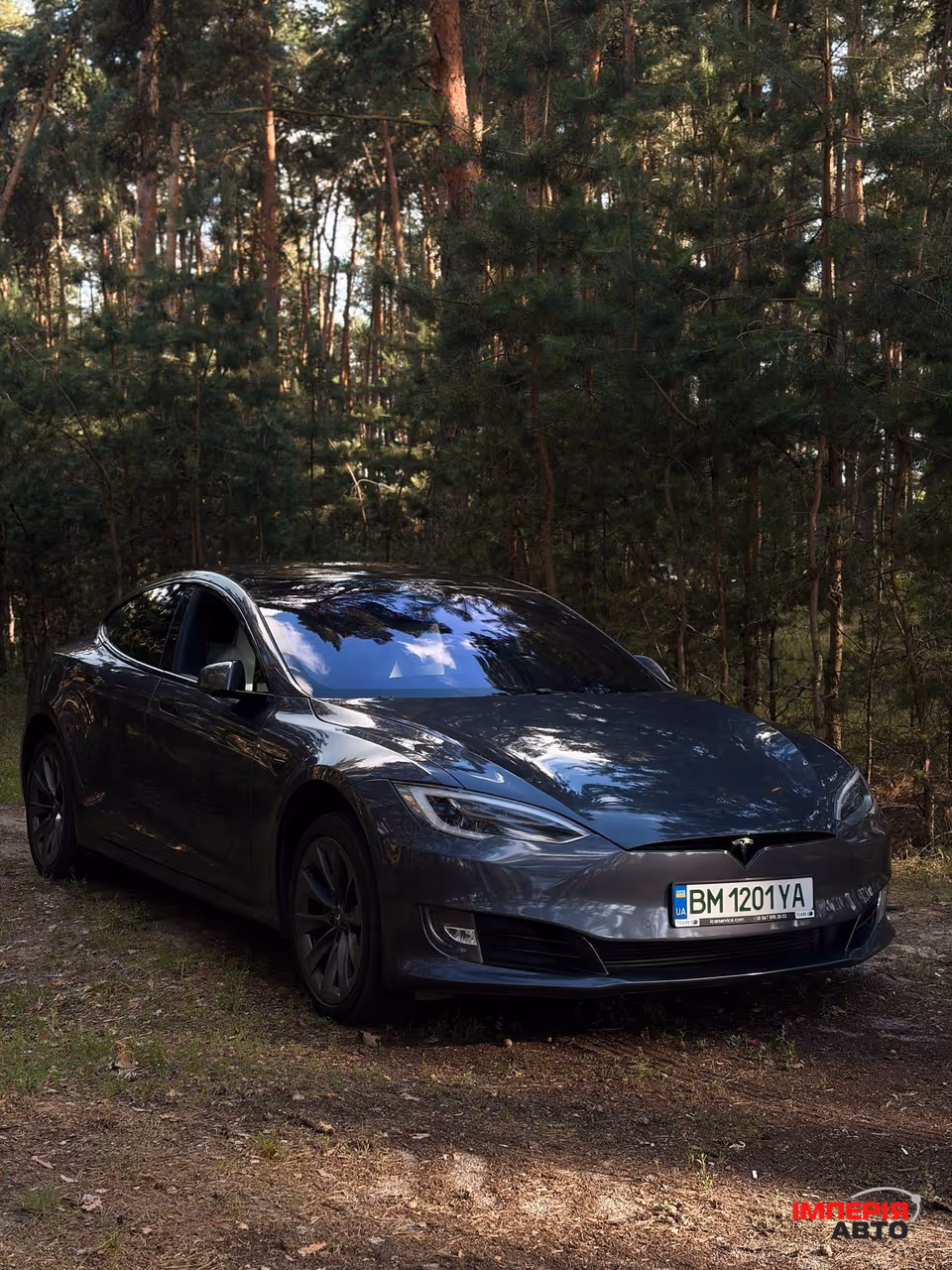 Tesla Model S - фото 1