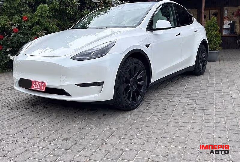 Tesla Model Y - фото 1