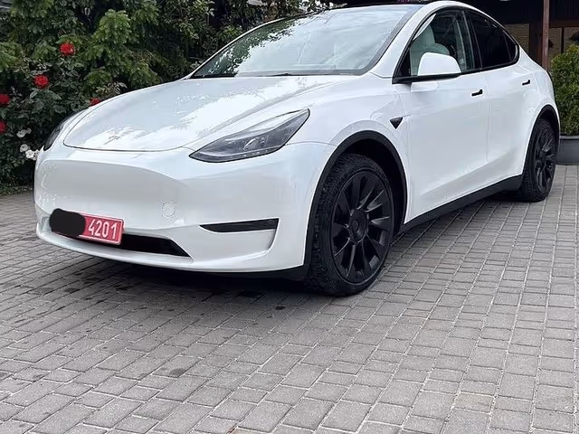 Tesla Model Y - зображення 1