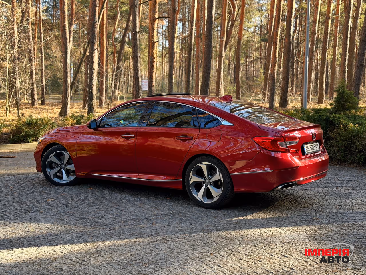 Honda Accord - фото 10