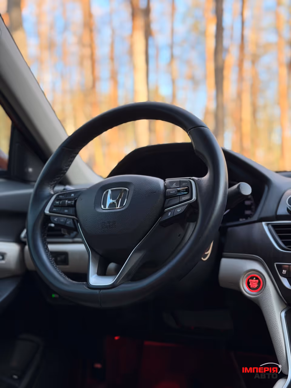 Honda Accord - фото 17