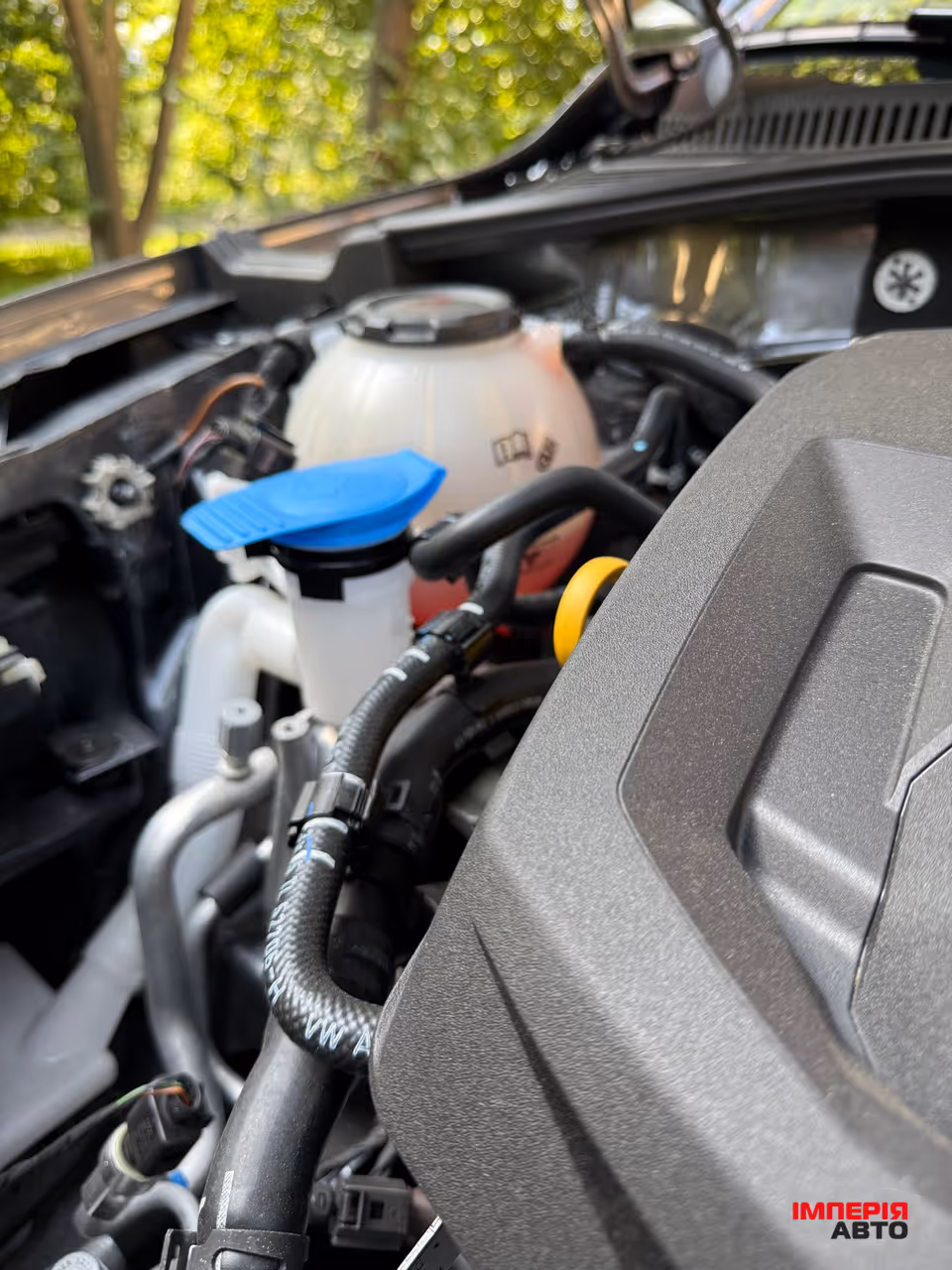 Volkswagen Passat - фото 40