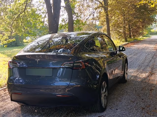 Tesla Model Y - зображення 5