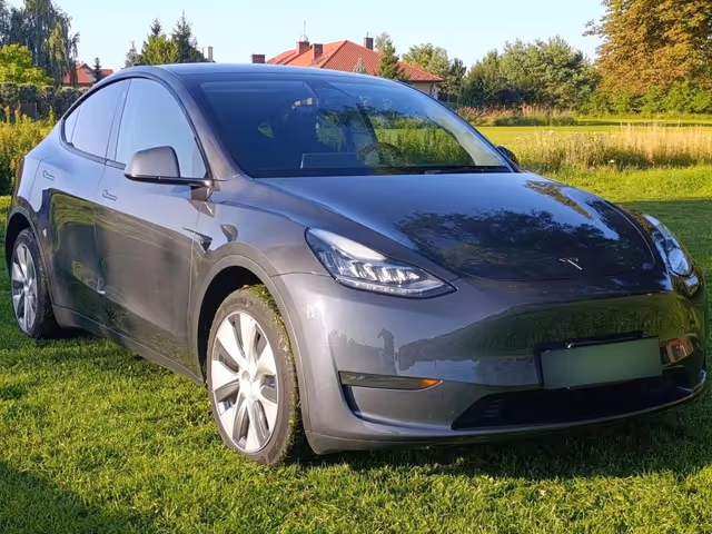 Tesla Model Y - зображення 1