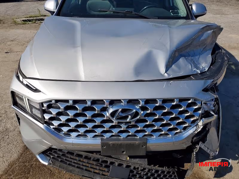 Hyundai Santa Fe - фото 4