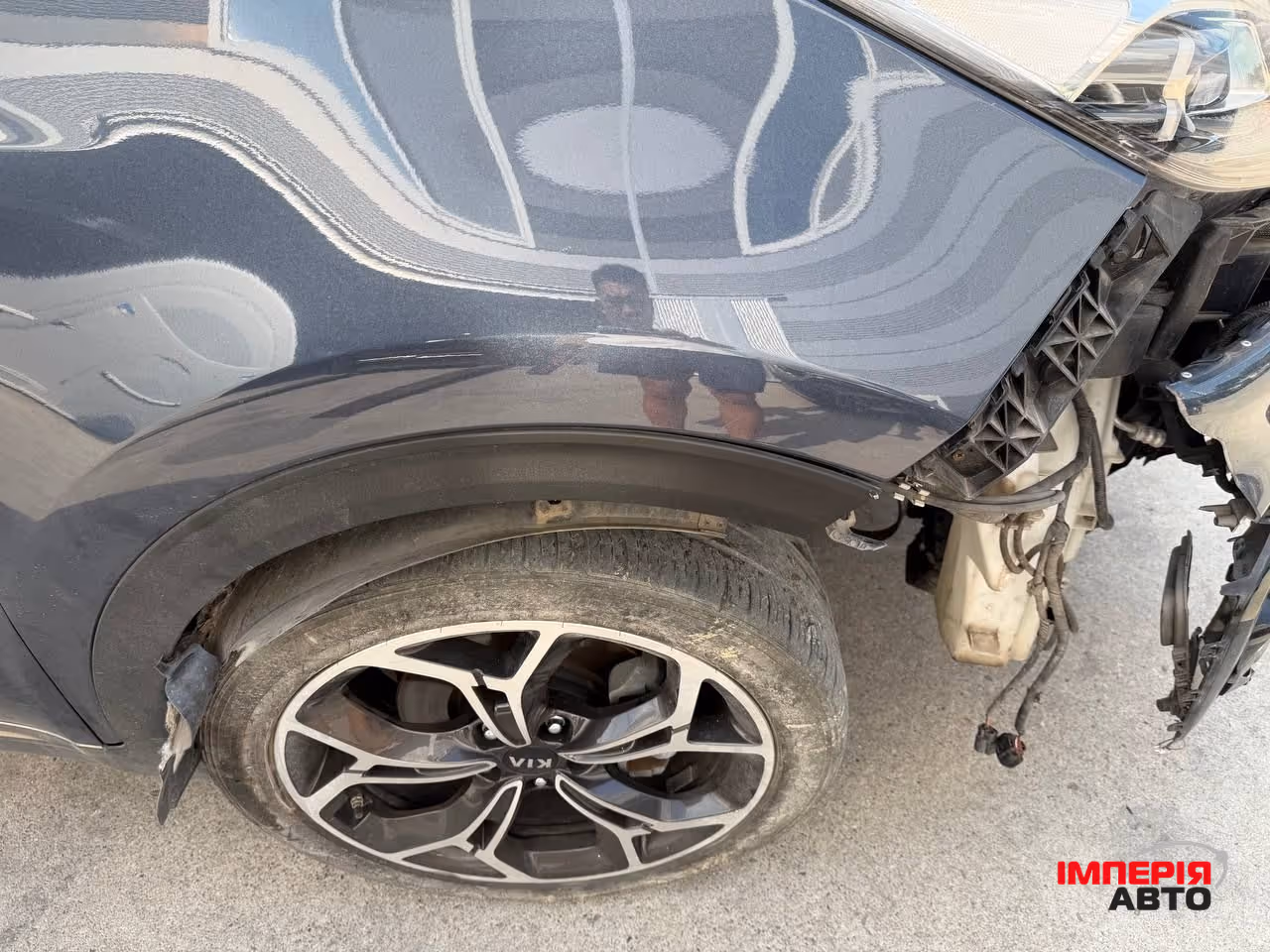 Kia Sportage - фото 10