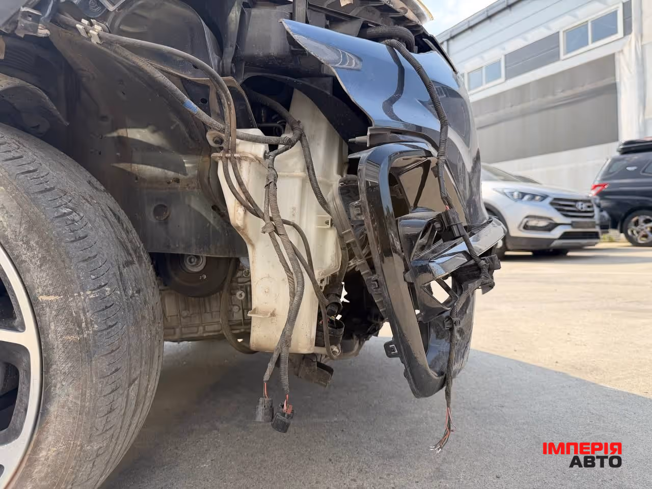 Kia Sportage - фото 12