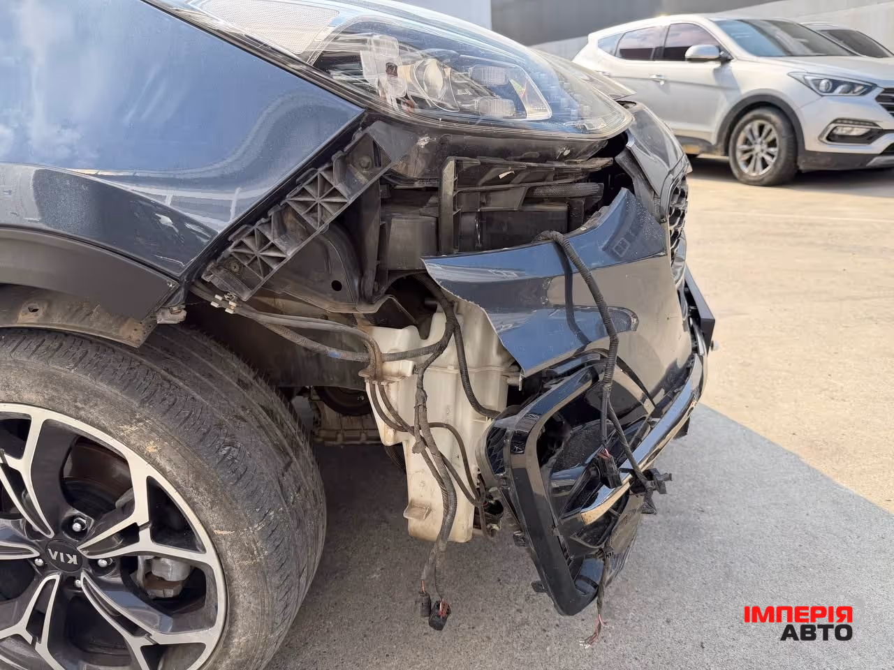 Kia Sportage - фото 11