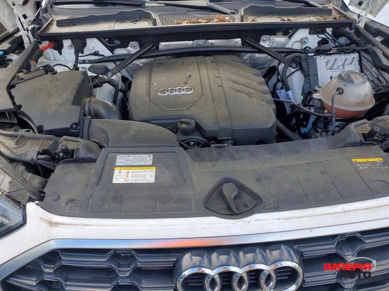 Audi Q5 - фото 11