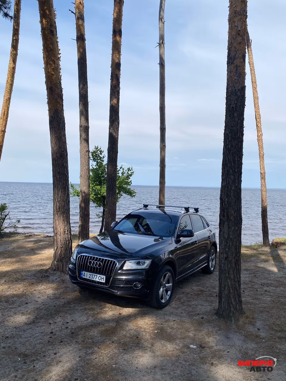 Audi Q5 - фото 11