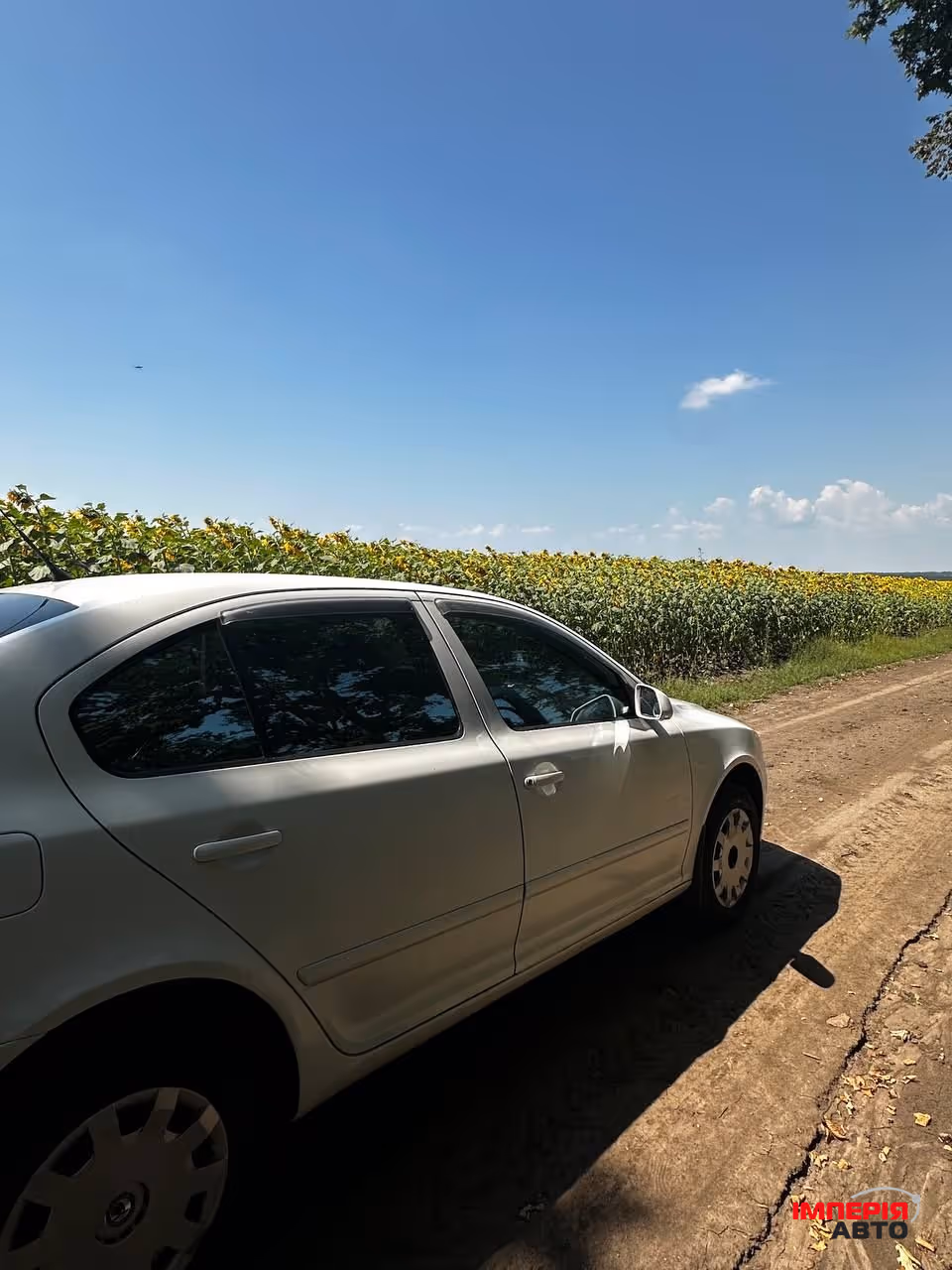 Skoda Octavia - фото 4