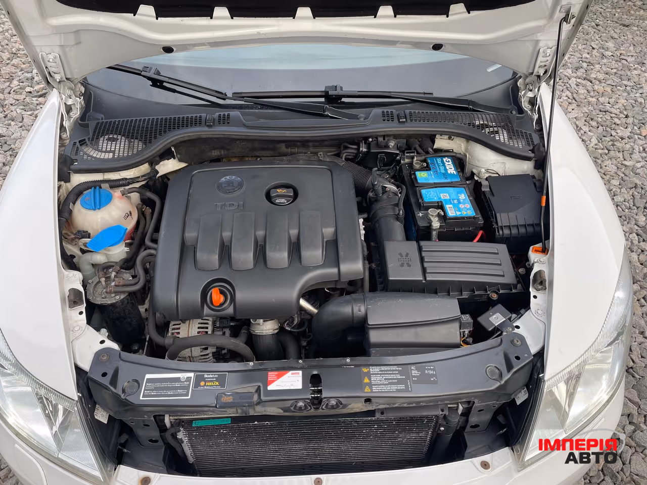 Skoda Octavia - фото 4