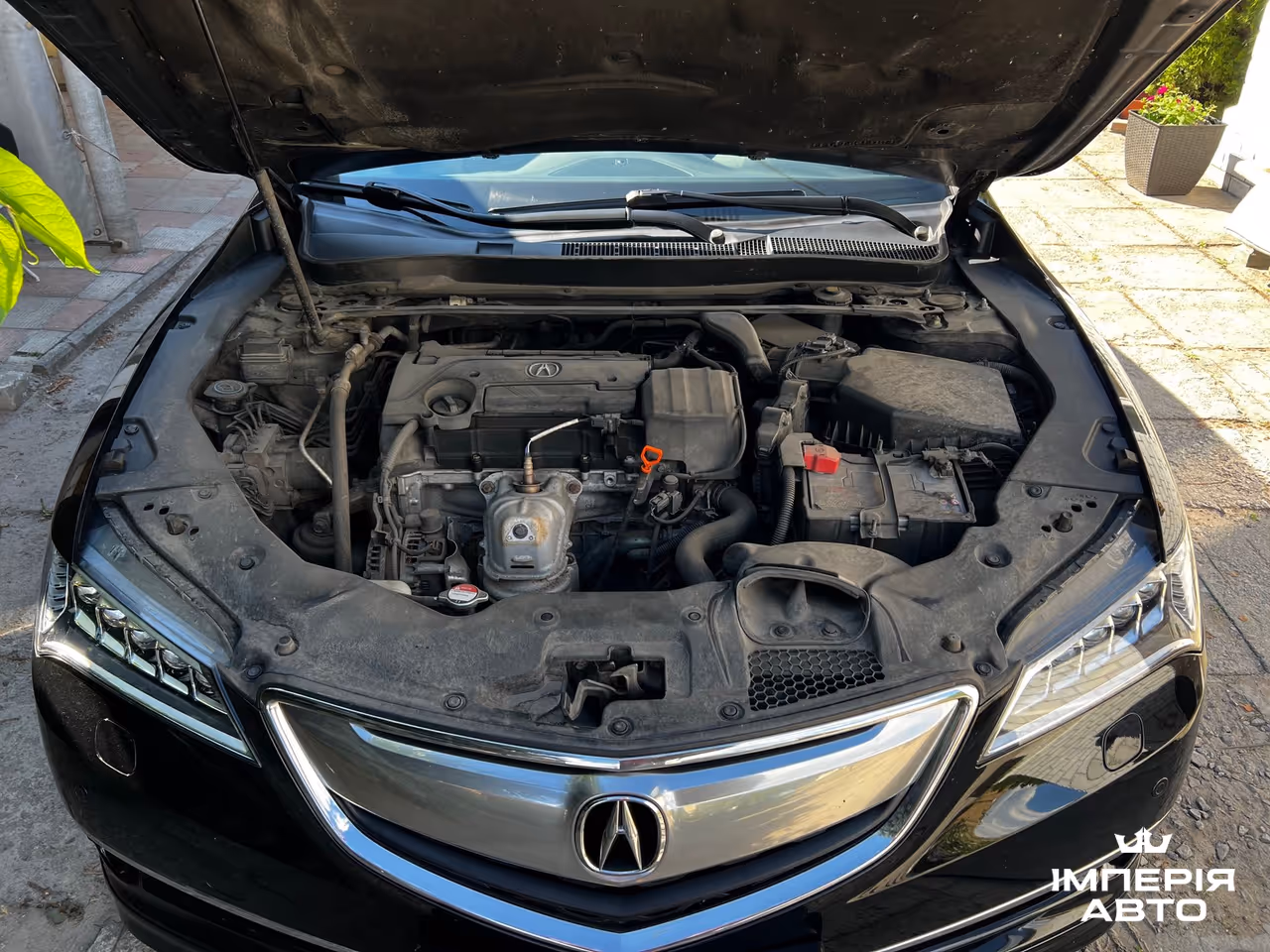 Acura TLX - фото 22