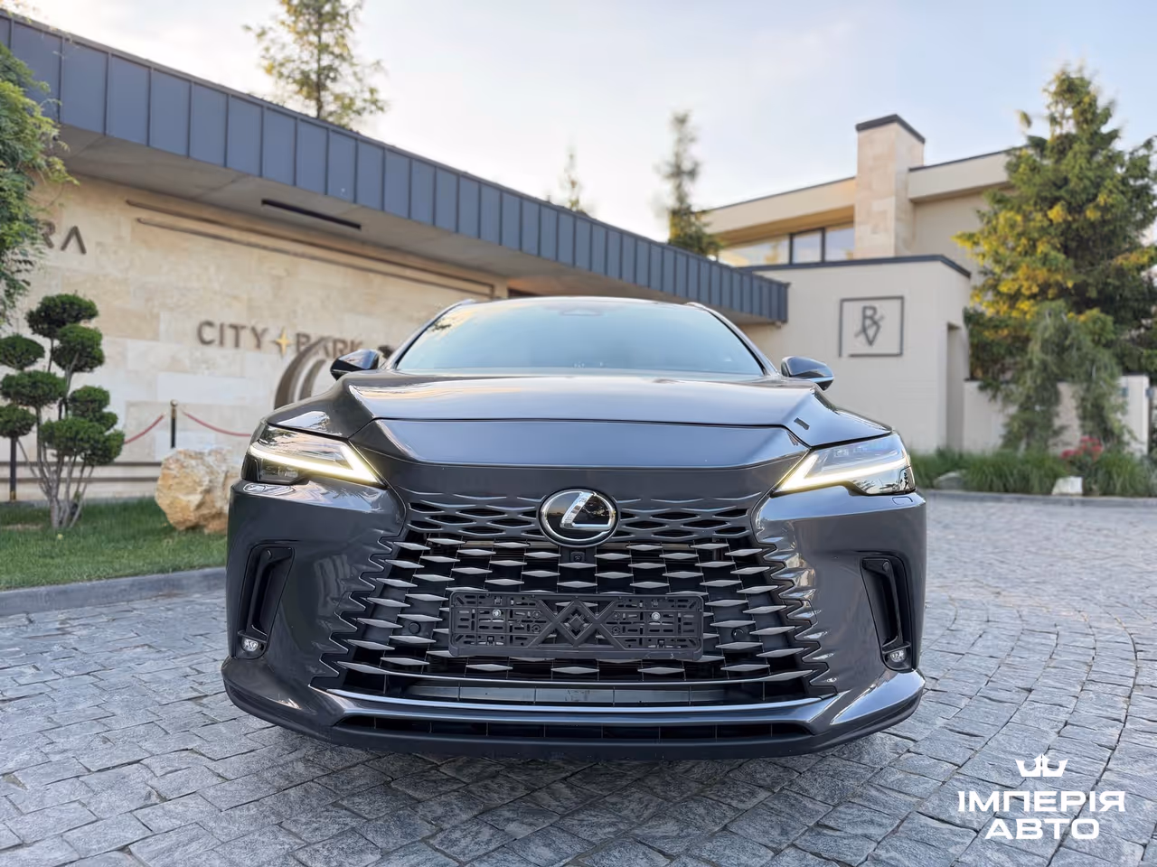 Lexus RX - фото 16