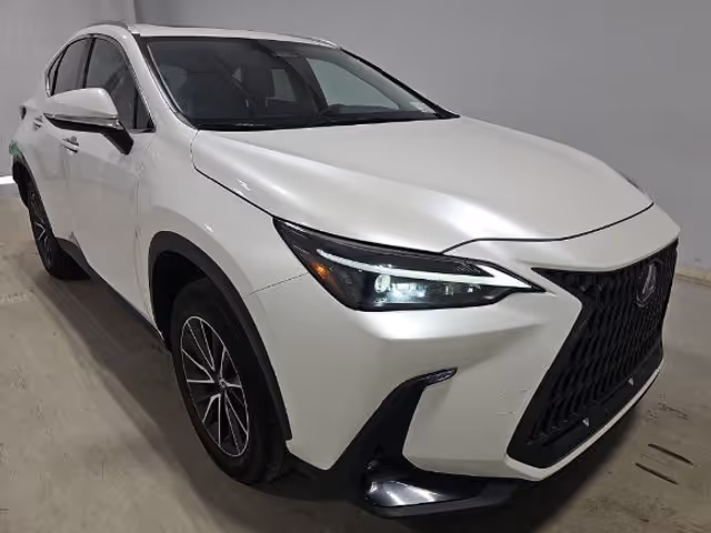 Lexus NX - зображення 1