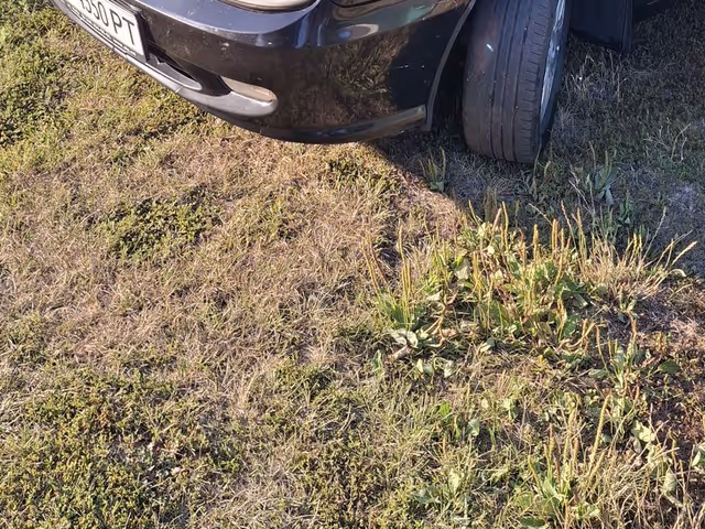 Geely CK (Otaka) - зображення 5