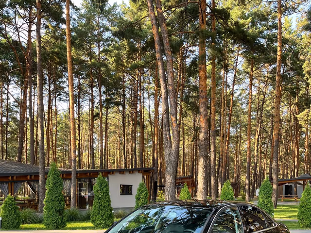 Audi A4 - зображення 1
