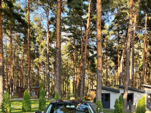 Audi A4 - зображення 2