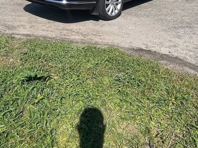 Volkswagen Passat - зображення 5