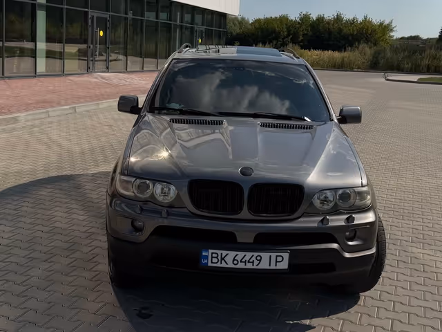 BMW X5 - зображення 1