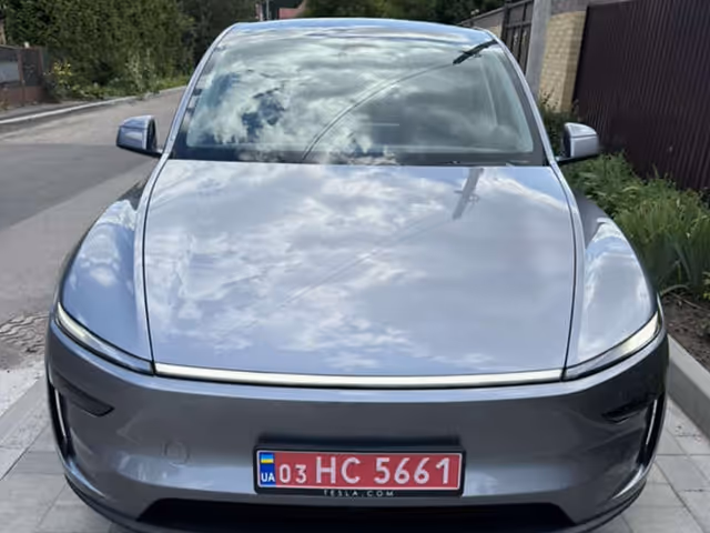 Tesla Model Y - зображення 1