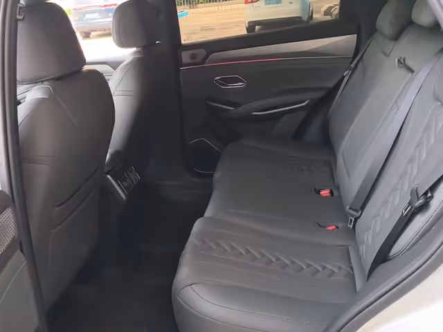 BYD Song L - зображення 4