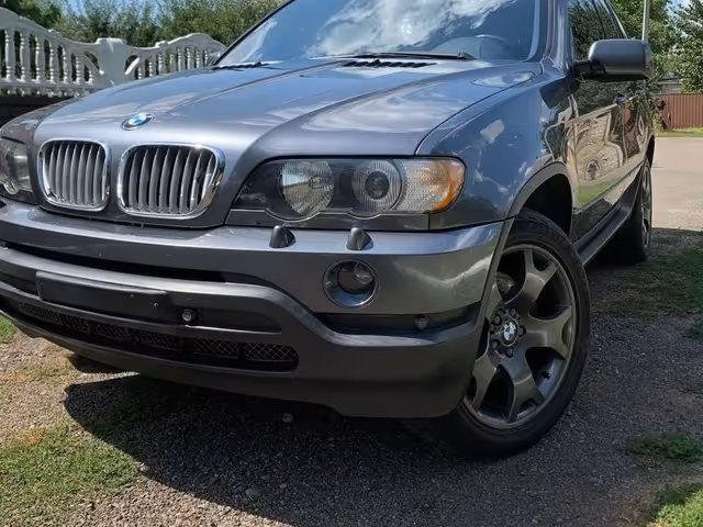 BMW X5 - зображення 1