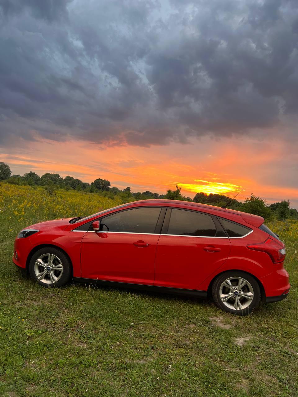 Ford Focus - фото 4