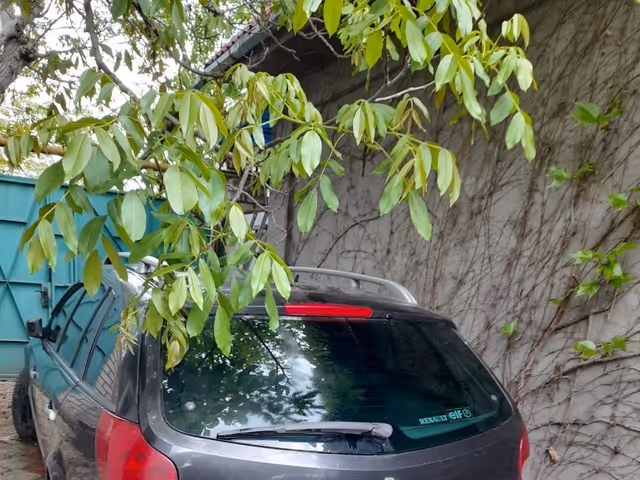 Renault Laguna - зображення 1