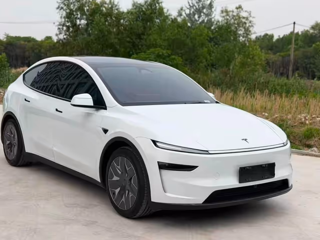 Tesla Model Y - зображення 1