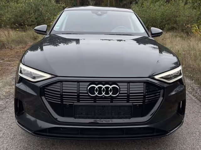 Audi e-tron - зображення 1