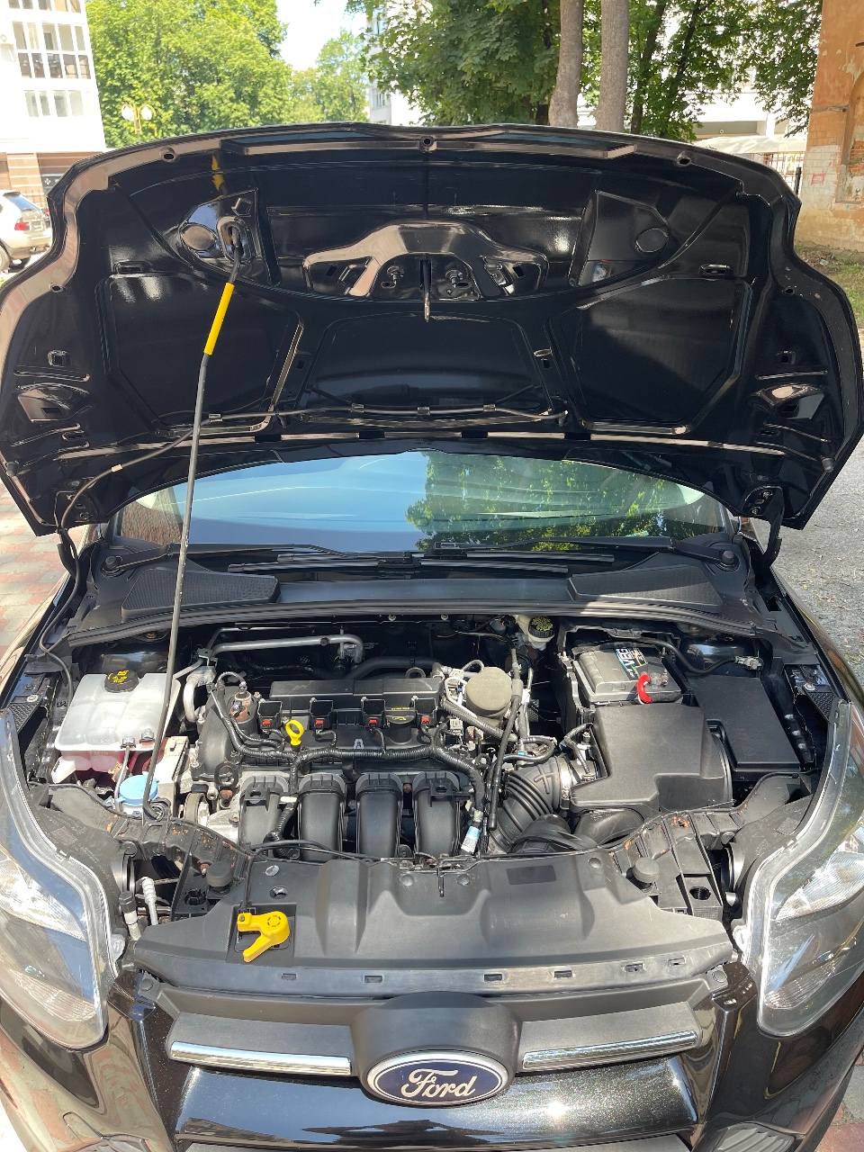 Ford Focus - фото 22