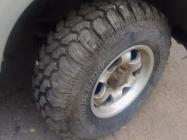 Nissan Terrano - зображення 5