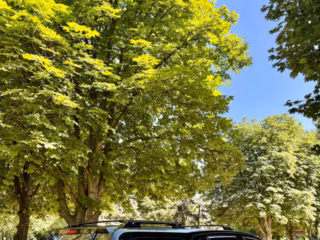 Infiniti QX56 - зображення 4