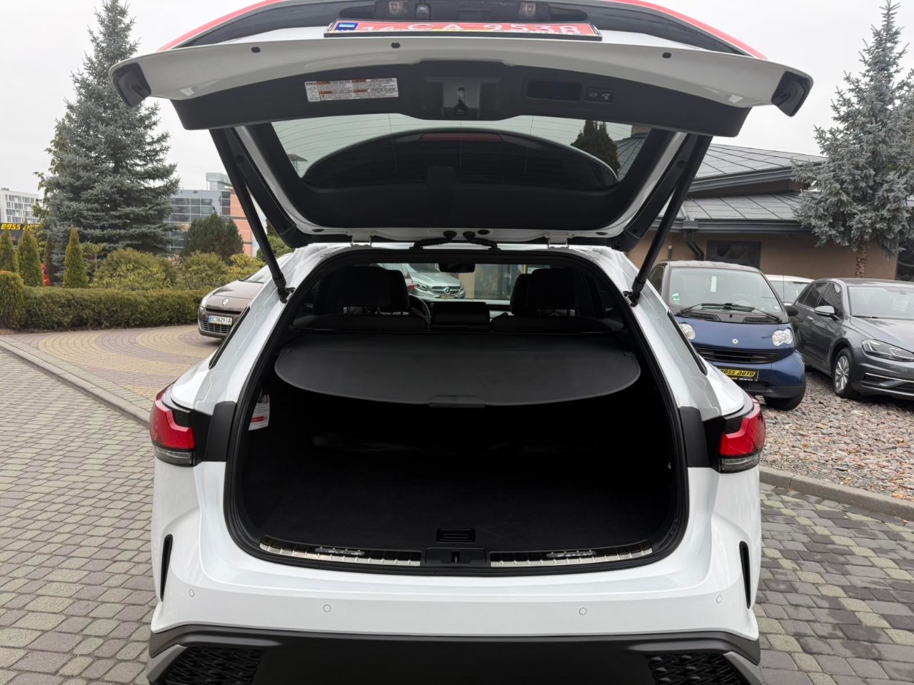 Lexus RX - фото 10