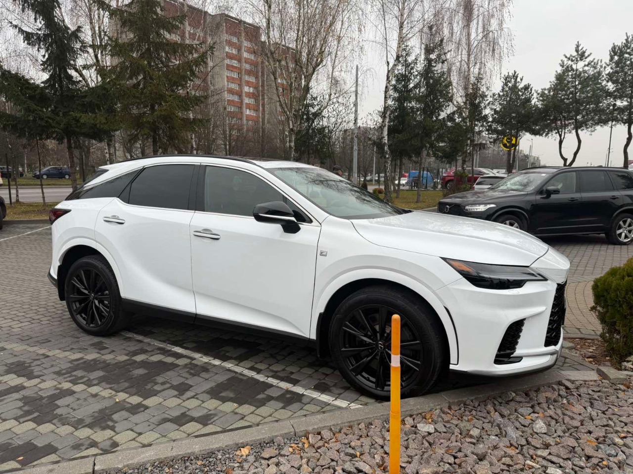 Lexus RX - фото 27