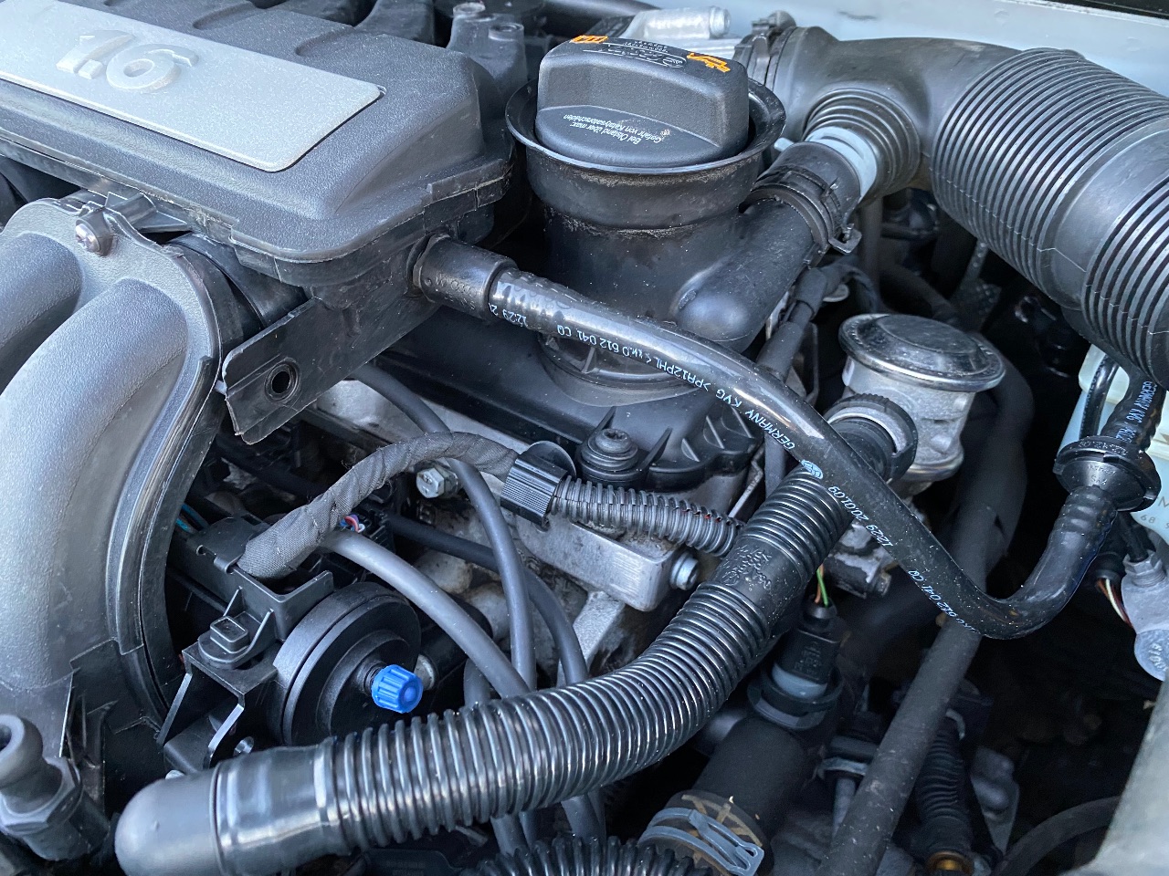 Volkswagen Golf Plus - фото 42